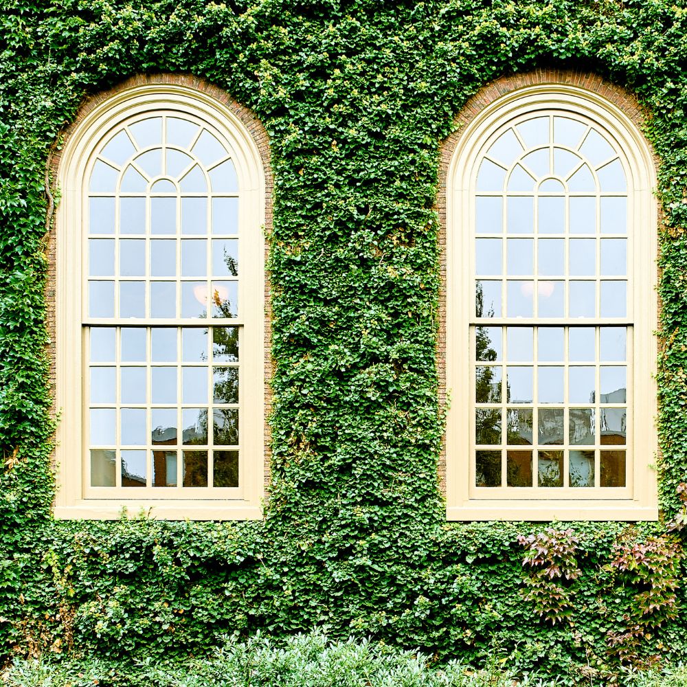 Denkmalschutzfenster